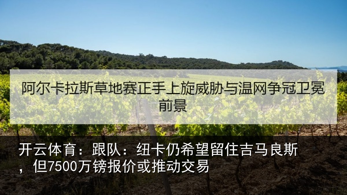 开云体育:跟队相关情况马良相关情况动交易